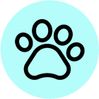 Pet Store Delivery